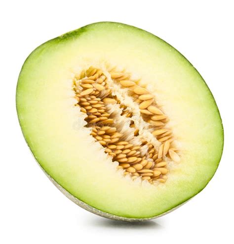 Green cantaloupe melon stock image. Image of cantaloupe - 76331825