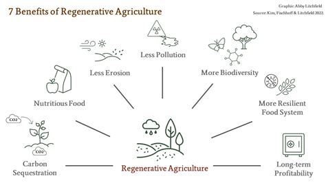 What is Regenerative Agriculture? - Network for Business Sustainability (NBS)