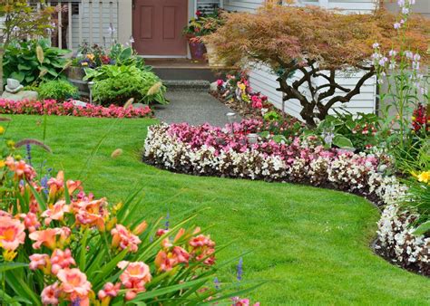 Annual vs perennial plants 🌼 🍂 What's the difference and why it matters