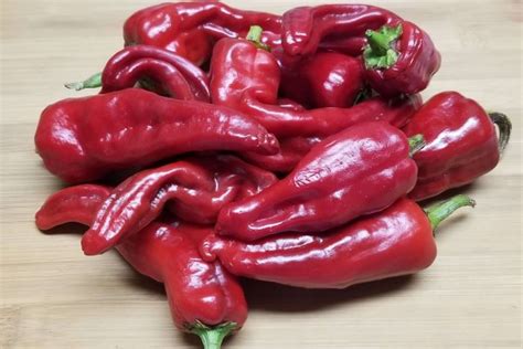 Chimayo Pepper 10 Seeds | Super Hot Chiles