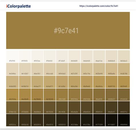 Pantone 17-0843 Tcx Bronze Mist Color | Hex color Code #9C7E41 information | Hsl | Rgb | Pantone