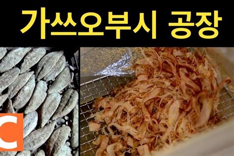 가쓰오부시 만드는 과정, 초보자도 따라하는 방법 (The process of making Katsuobushi: A ...