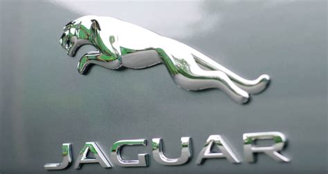 Andy Murray Goes Electric with Jaguar I-PACE, Fulfills WWF Pledge - autoevolution