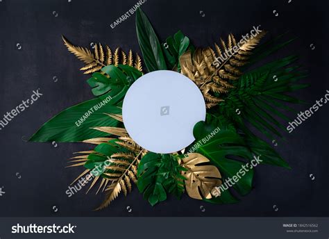 Top View Green Gold Tropical Leaves Stock Photo 1842516562 | Shutterstock