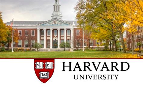 Harvard University Fellowships Programs 2024 - OYA Opportunities | OYA ...