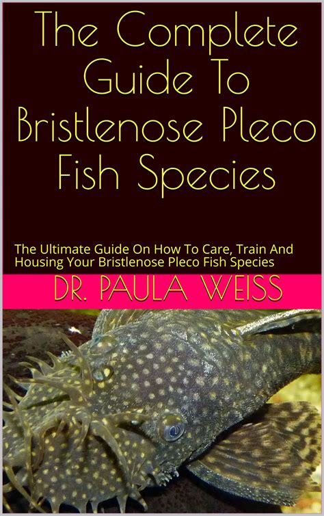 Buy The Complete Guide To Bristlenose Pleco Fish Species: The Ultimate Guide On How To Care ...