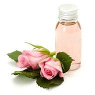 Bulgarian Rose Essential Oil: Uses of Cabbage & Damask Rose for Oil ...