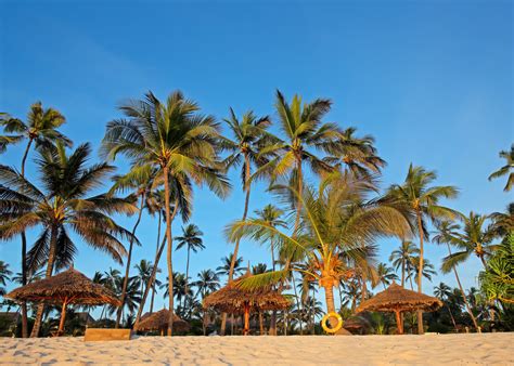 Zanzibar Food: Street Food to Tropical Fruits - The Roaming Fork