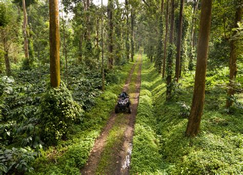 Tourist Places in Coorg | Best Places to Visit Coorg