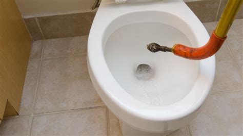 How To Snake A Toilet – Forbes Home