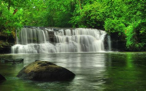 Download Tree Green Forest Nature Waterfall HD Wallpaper