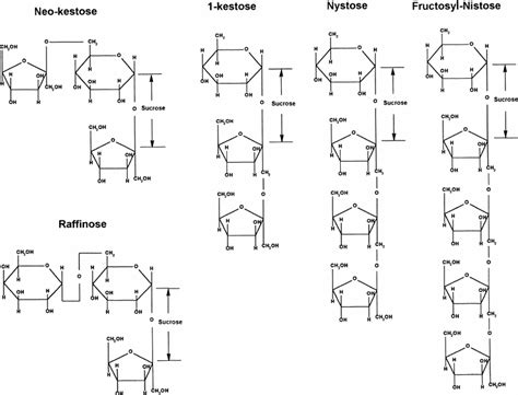 Structure formulas of the oligosaccharides considered in this paper... | Download Scientific Diagram