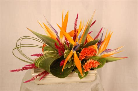 Birds of Paradise and summery celosia | Diy arrangements, Flower arrangements, Special flowers