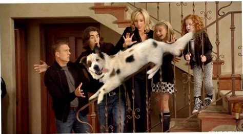 Dog With A Blog Gets Better Ratings Than Parks & Recreation | The Mary Sue