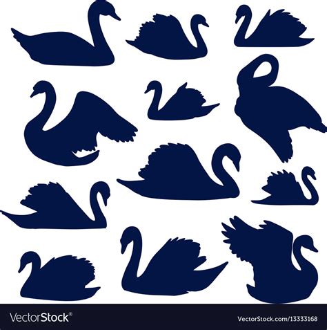 Swan silhouette set Royalty Free Vector Image - VectorStock