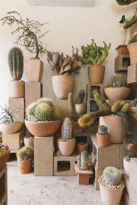 100 Beautiful DIY Pots And Container Gardening Ideas (35) | Indoor cactus plants, Plants, Indoor ...