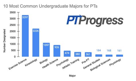 What is the Best Undergraduate Major for Physical Therapy?