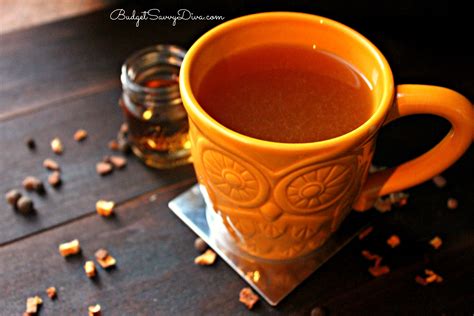 Adult Hot Cider Recipe - Budget Savvy Diva