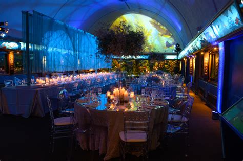 Zenfolio | Shedd Aquarium Special Events | Caribbean Reef