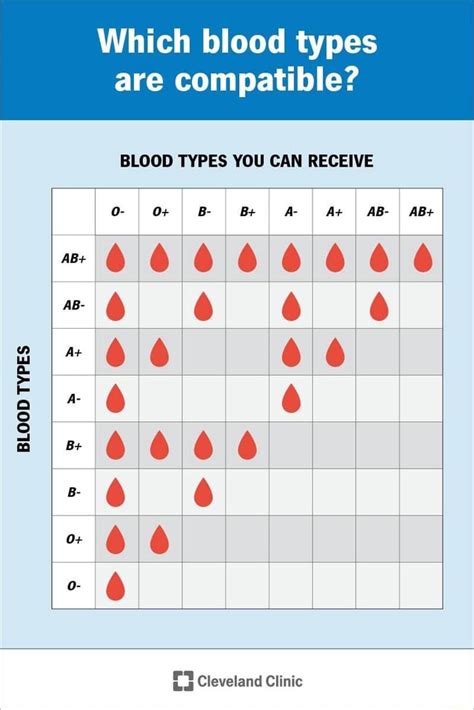 Which blood types are compatible? BLOOD TYPES YOU CAN RECEIVE A+ I AB- AB+ 6 6 66 66 BLOOD TYPES ...