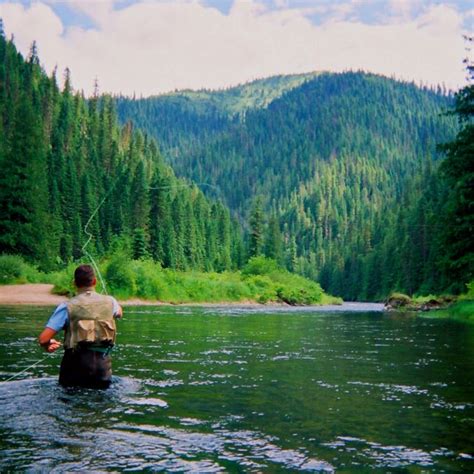 Fly fishing the St. Joe river in Northern Idaho! | Balık