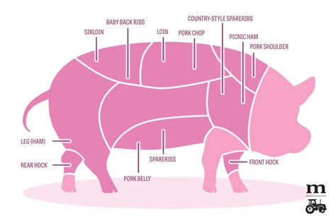 Pork Cuts 101: A Diagram - Modern Farmer