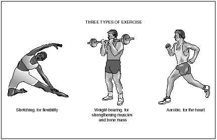 Physical Activity: Physical Activity Types