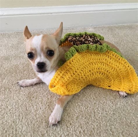 Taco Pet Costume, Taco Cat Costume, Taco Costume for Dogs, Taco Dog ...