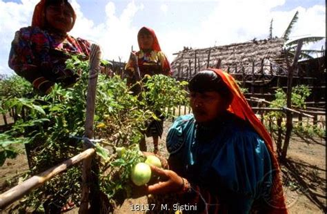 Indigenous women from Panama design action plans to ensure food security