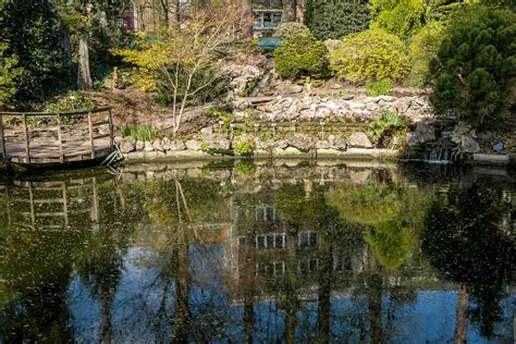 Visiting De Kruidtuin Leuven: Belgium's Oldest Botanical Garden