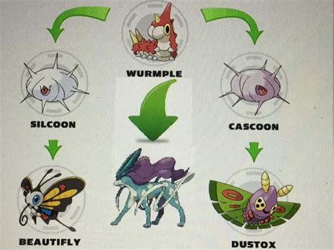 Pokemon Wurmple Evolution