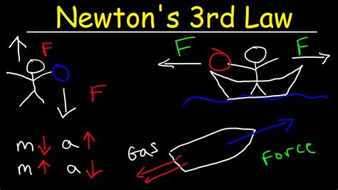 Newton's Third Law of Motion - Action and Reaction Forces - YouTube