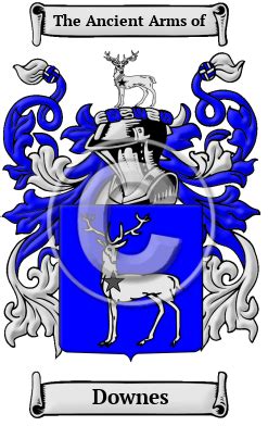 Downes Name Meaning, Family History, Family Crest & Coats of Arms, English