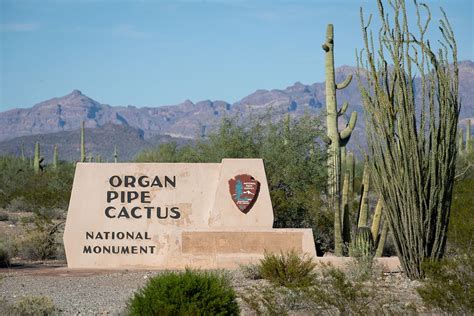 Organ Pipe National Monument | Free Photo - rawpixel