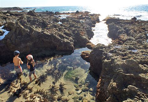 Victoria Beach Tower and Tide Pools, Laguna Beach | Day Trips L.A.