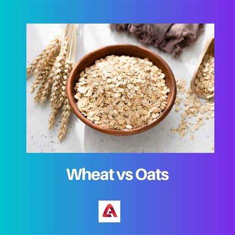 Wheat vs Oats: Difference and Comparison