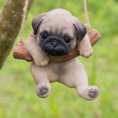 Puppy on swing | Cute baby animals, Baby pugs, Bulldog puppies