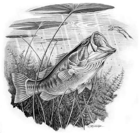 Pin by Andrew Winkle on Tattoos | Fish drawings, Largemouth bass, Fish art