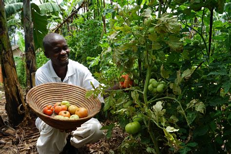 Strengthening Smallholder Farmers in Uganda - Raising The Village