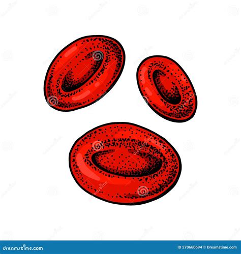 Share more than 129 blood cell drawing latest - seven.edu.vn