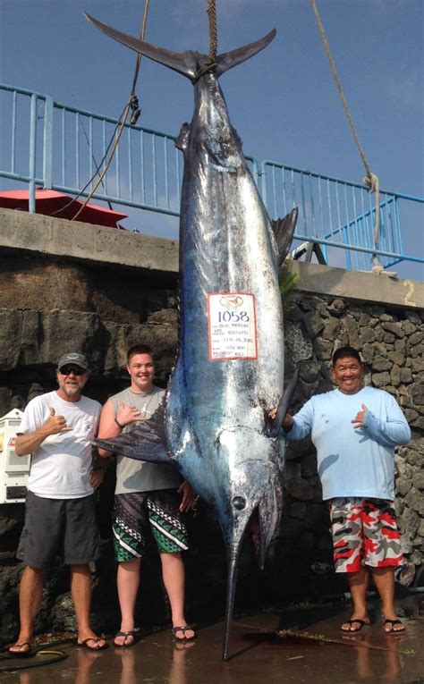 NYC Teen Kai Rizzuto Catches 1,000-Pound Marlin Off Hawaii