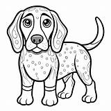 Printable Coonhound Dog Coloring Page For Kids And Adults  Premium AI sketch template