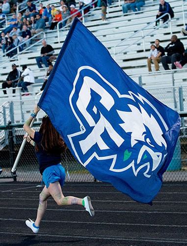 Field Runner Flags - Custom Cheer Flags | Carrot-Top Flags