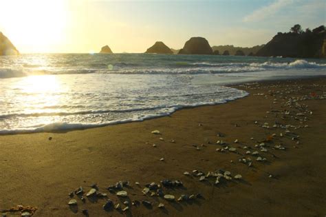 Greenwood State Beach - Mendocino Land Trust