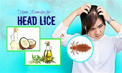 Natural Home Remedies for Head Lice - Top 13 Simple Ways