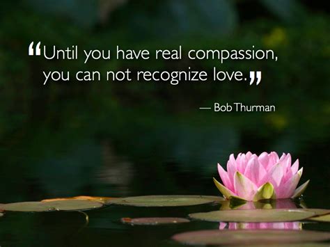 Famous Quotes On Compassion. QuotesGram