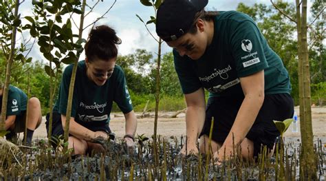 Let's talk about mangroves | Projects Abroad