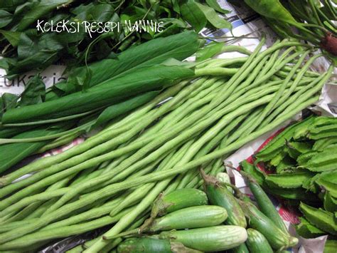 Resepi Masak Sayur Kacang Panjang