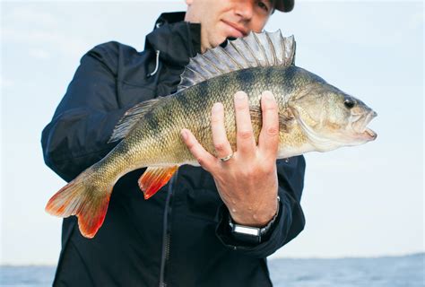 Gull Lake Fishing 101 with Bobby G - Gull Lake Beach Resorts