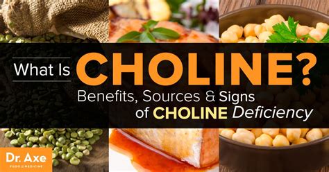 What is Choline? Big Benefits & Signs of a Deficiency - Dr. Axe ...